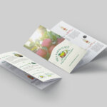 Hill Farm Juice Leaflet Design