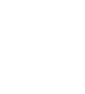 Southampton Airport Logo - Print & Digital Design