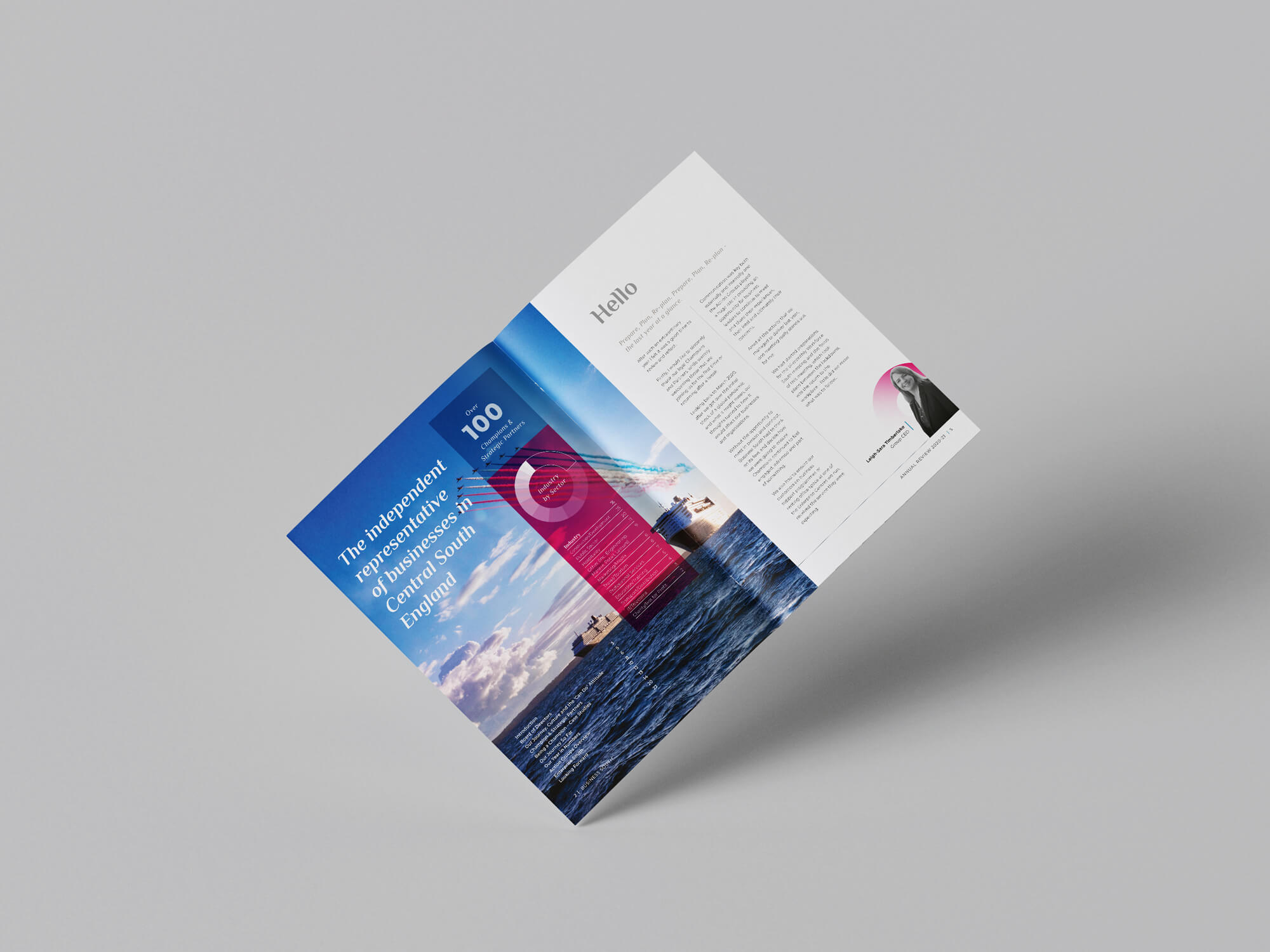 Business South Annual Report